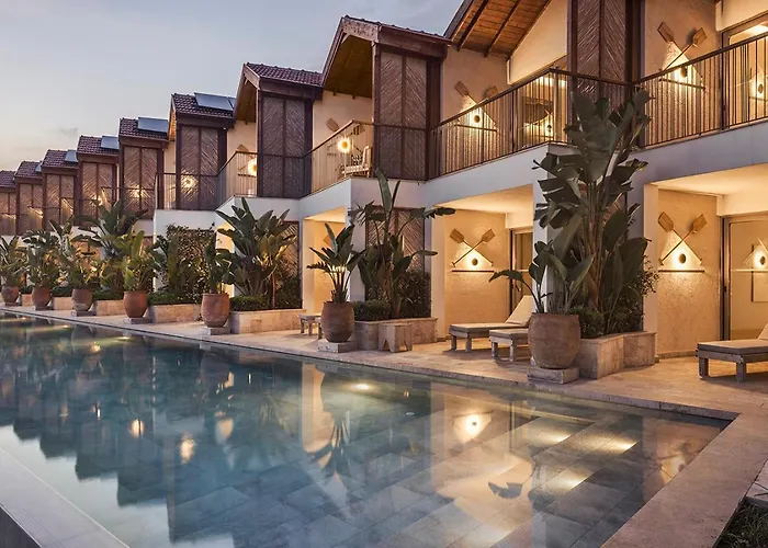 Day One & - Adult Only