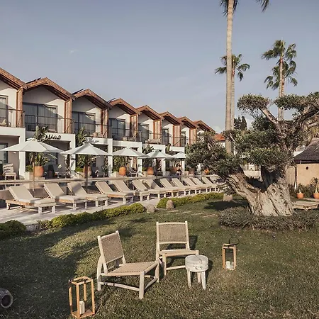 Day One & - Adult Only