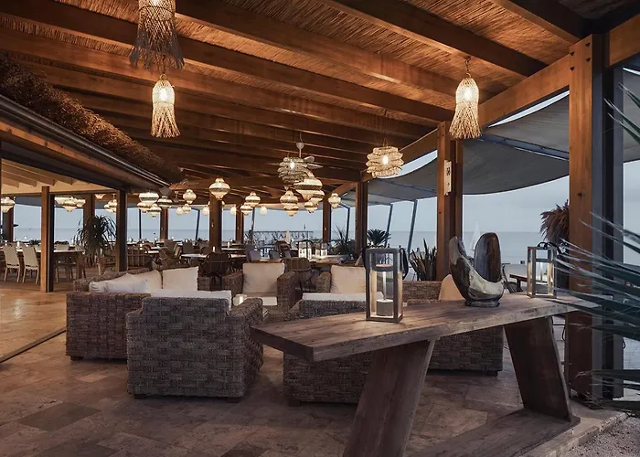 Day One & - Adult Only