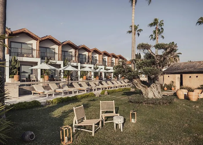 Day One & - Adult Only